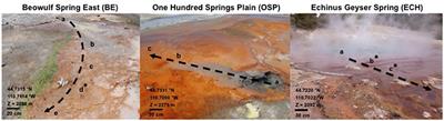 Hydrogen Peroxide Cycling in High-Temperature Acidic Geothermal Springs and Potential Implications for Oxidative Stress Response